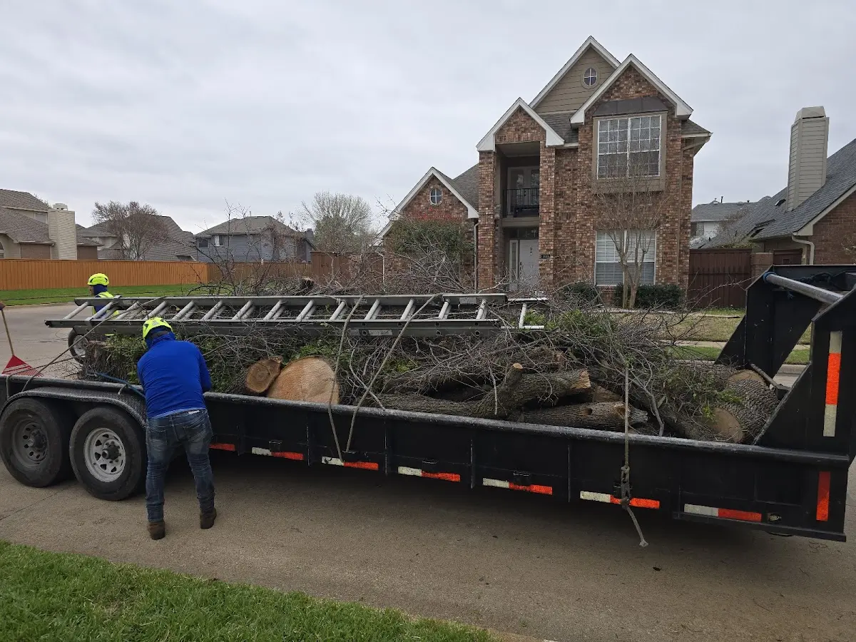 Expert Lot Clearing with proper safety equipment in Cresskill